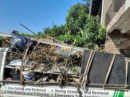 Best Property Management Cleanouts  in Emma, NC